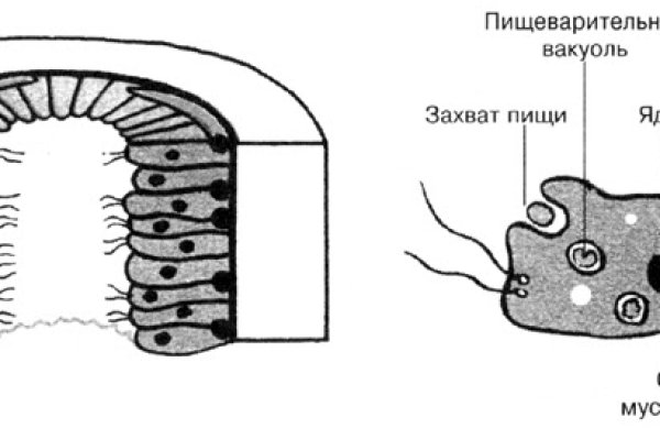 Kraken официальный сайт ссылка через tor