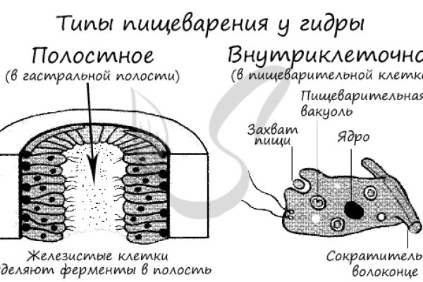 Кракен наркомаркет