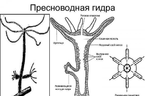 Кракен в обход