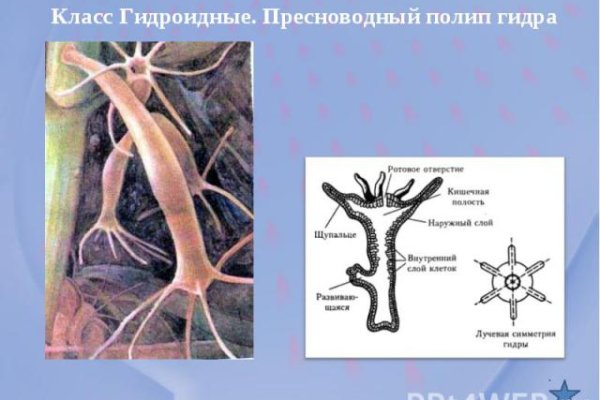 Как восстановить страницу на кракене