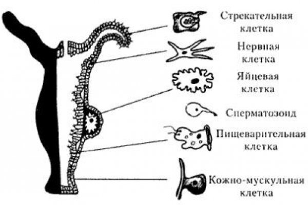 Kra31at