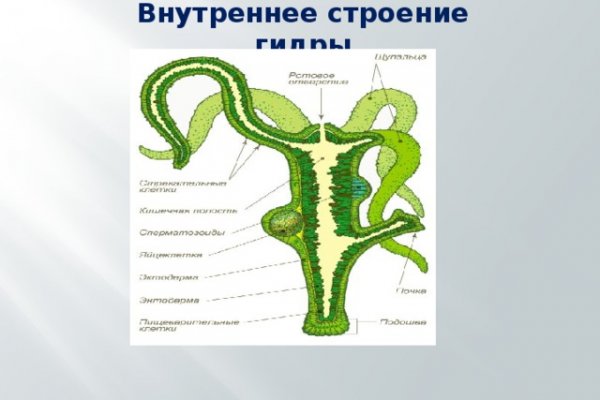 Вход в кракен даркнет